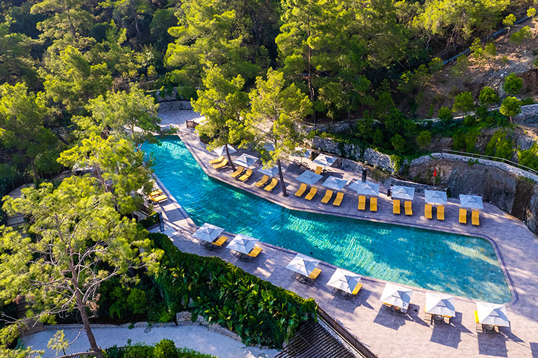 Adult Pool