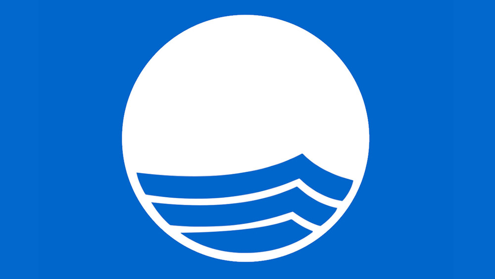 Blue Flag Logo Detail