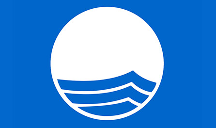 Blue Flag Logo Card